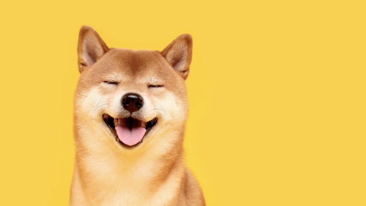 Gambar Prediksi Harga DOGE Hari Ini: DOGE Berpotensi Naik 22,5% dalam 1 Minggu?