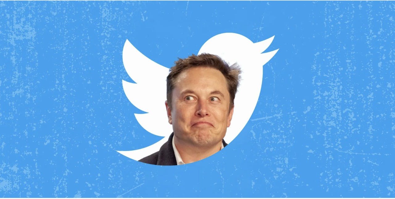 Gambar Disetir Elon Musk, Twitter Siap Menerima Bayaran Dalam Aset Crypto?