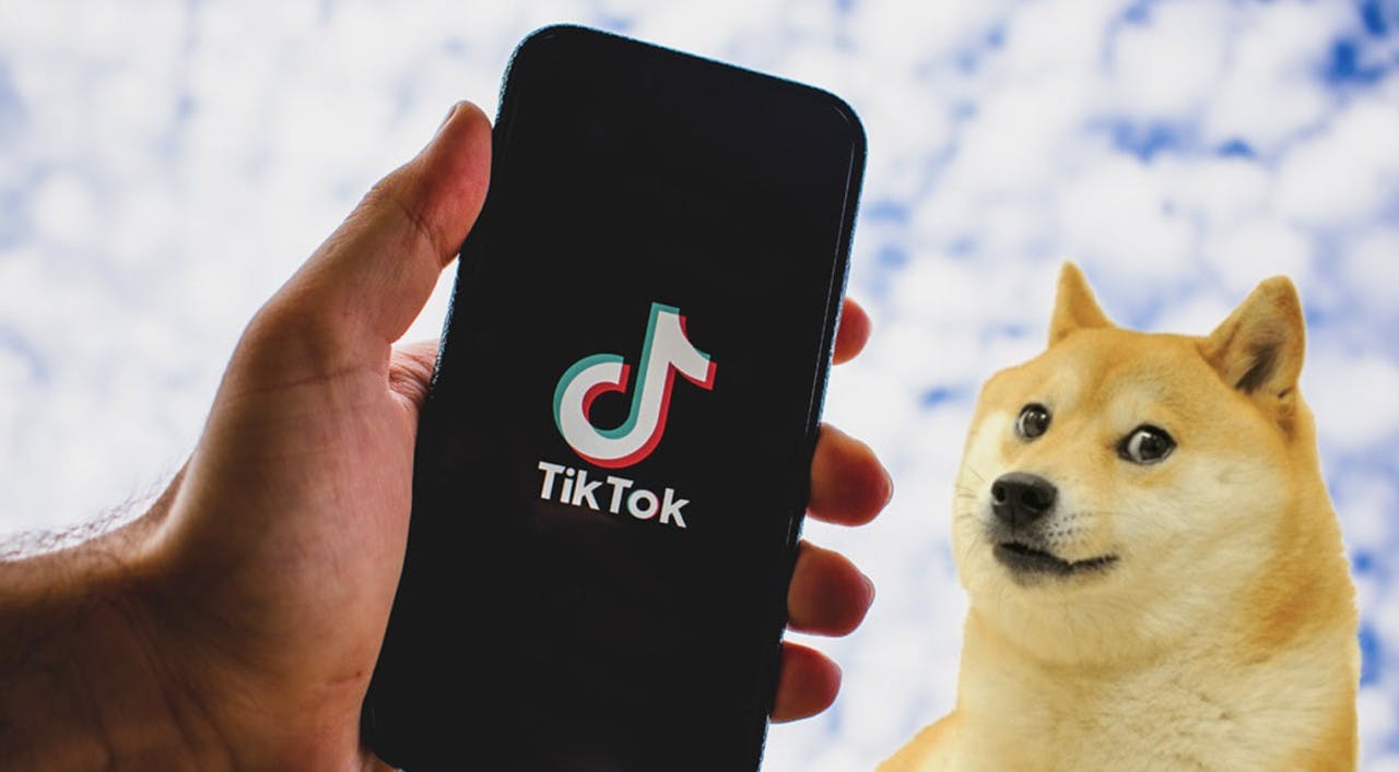 Gambar TikTok Bantu PEPE dan Proyek Memecoin Lainnya Naik Daun, Kok Bisa?