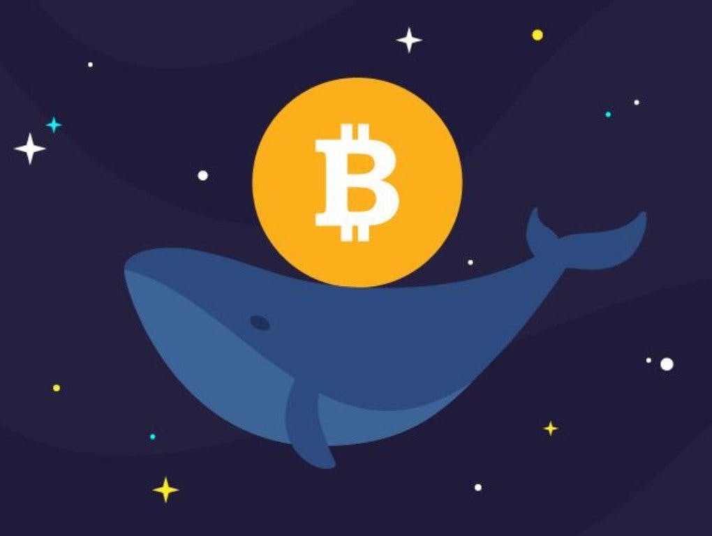 Gambar Ngamuk! Akumulasi Whale Bitcoin Meningkat, September 2024 Penuh Event Penting