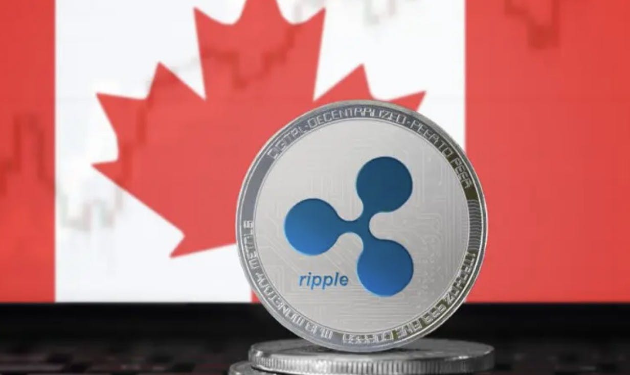 Gambar Ripple dan Universitas Terbesar di Kanada Luncurkan Validator XRP, Seperti Apa?