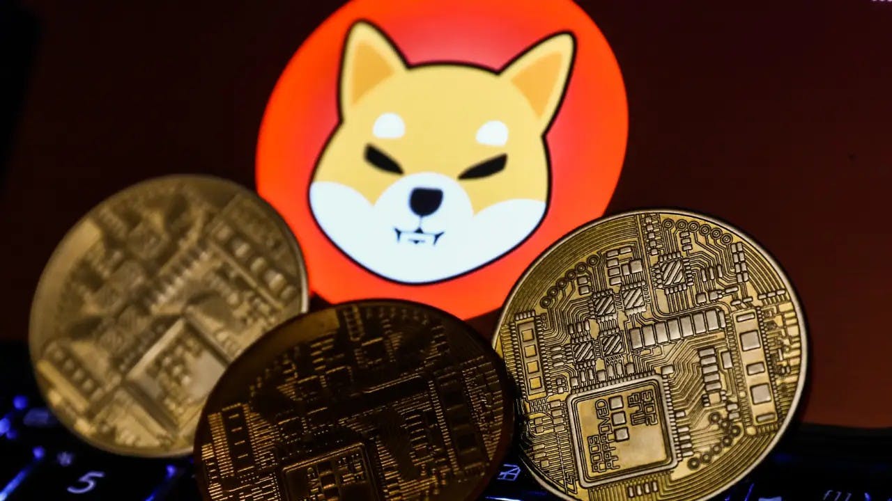 Gambar Token BAD dari Shibarium Mendapatkan Daftar Utama Pertama, Pemimpin Shiba Inu Bereaksi