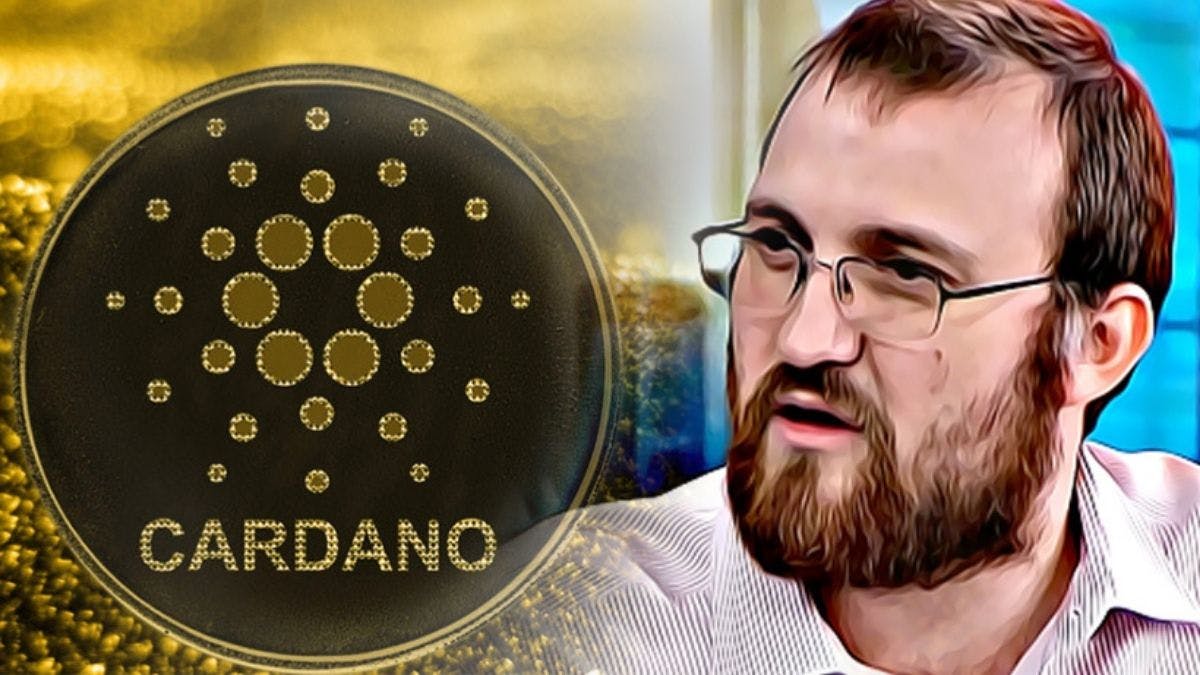 Gambar Pendiri Cardano Charles Hoskinson Tidak Memiliki Alamat Crypto Publik? Ini Alasannya!