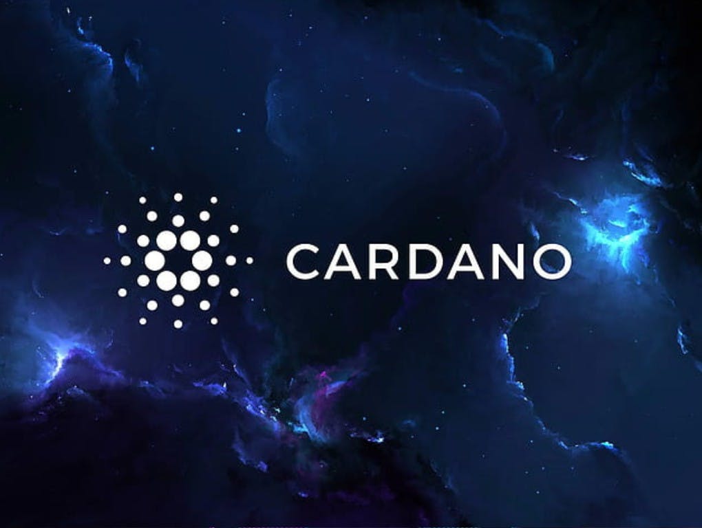 Gambar Cardano (ADA) Bertahan: Transaksi On-Chain Transactions Meningkat Meski Pasar Crypto Bergejolak!