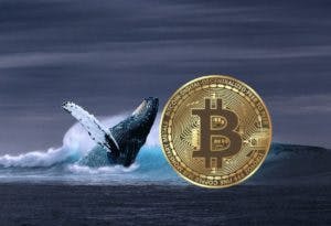 Bitcoin: Harga Belum Mencapai Tertinggi Tahun Ini Lagi Selama 5 Bulan ke Depan, Ada Apa?