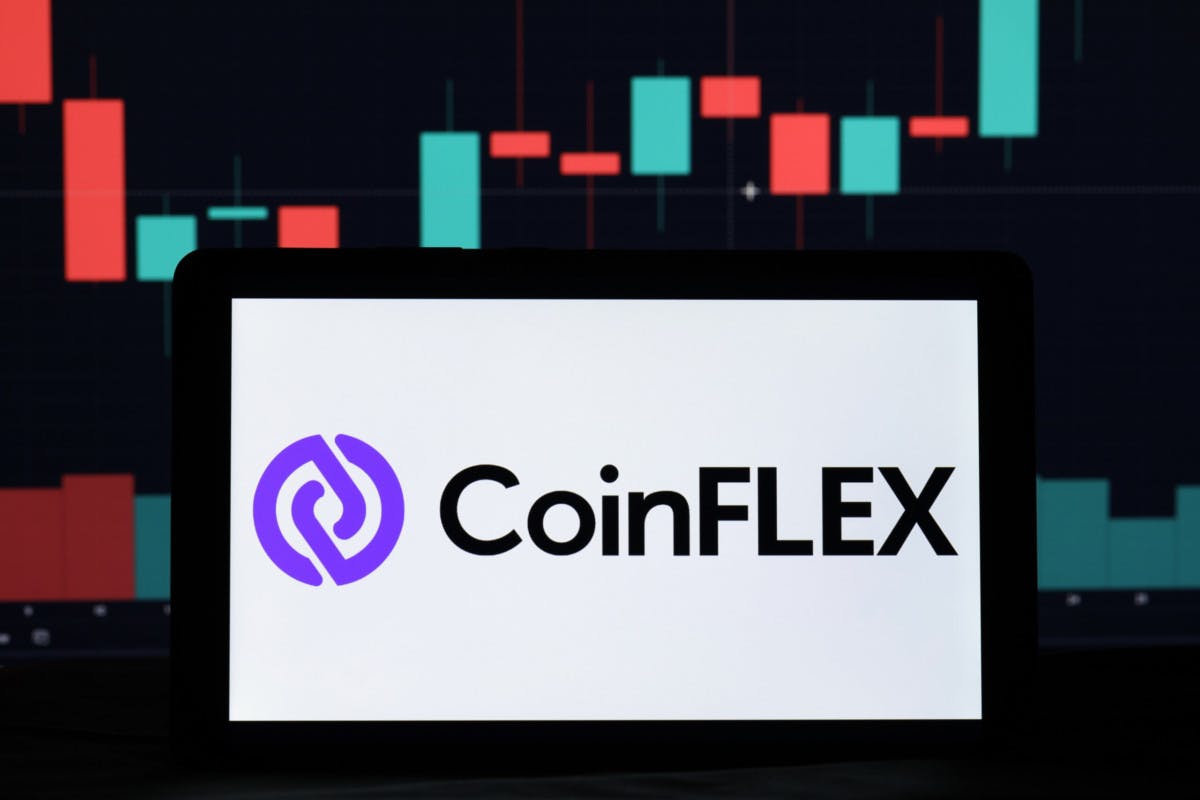 Gambar Skandal Besar di Dunia Crypto: CEO CoinFLEX Dituntut, Roger Ver Terlibat!