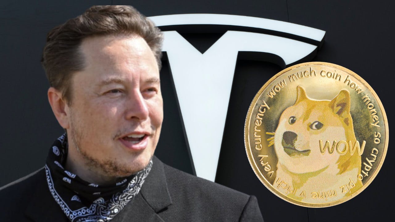 Gambar 5 Elon Musk-Inspired Coins 2024: DOGE, TES, SPX, BOR, NEU