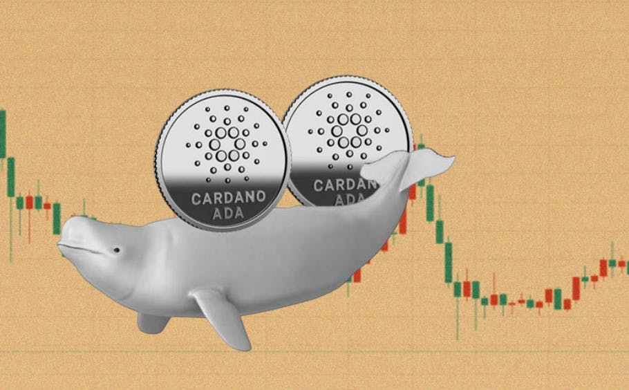 Gambar Whale Cardano Mendominasi Pasar, ADA Lampaui Volume Dogecoin & Litecoin!