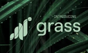 Grass Crypto: Apakah itu dan Bagaimana Cara Kerjanya?