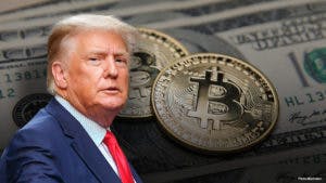BTC ke $62.000 & Meme Coin Trump Meledak: Ada Apa dengan Crypto Hari Ini? (15/7/24)