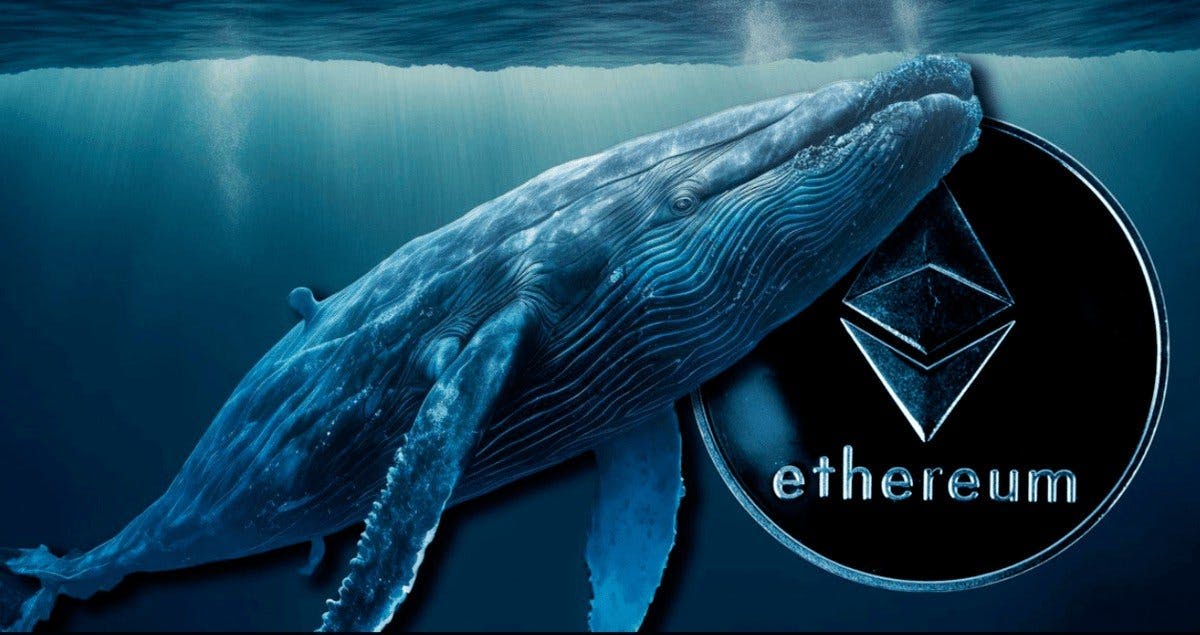 Gambar Ethereum: Supply Whale Ethereum Melonjak, Kuasai 43% ETH! ETH Meroket September 2024?