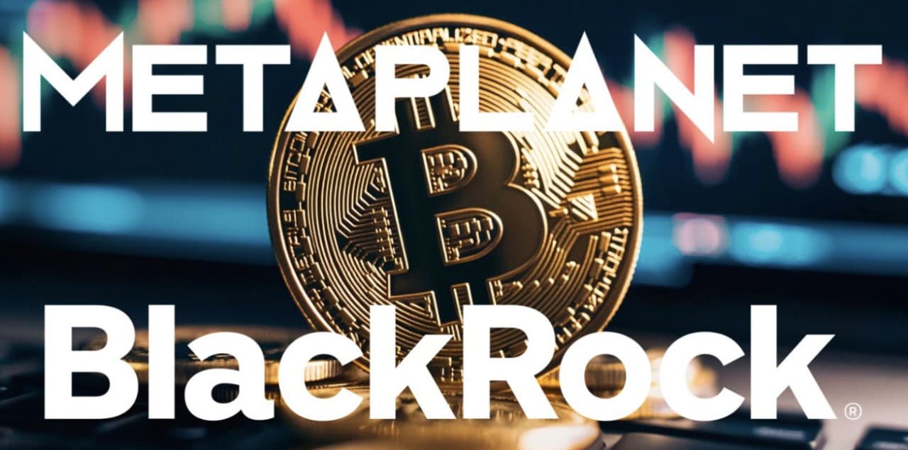 Gambar BlackRock dan Metaplanet Kompak Borong Bitcoin di Tengah Penurunan Pasar!