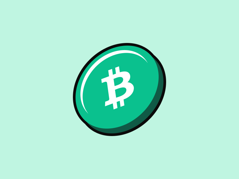 Image What is Bitcoin Cash (BCH)? The Peer-to-Peer Electronic Cash