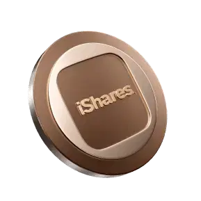 silver coin