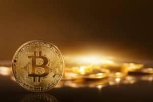Benarkah Bitcoin is the New Gold?