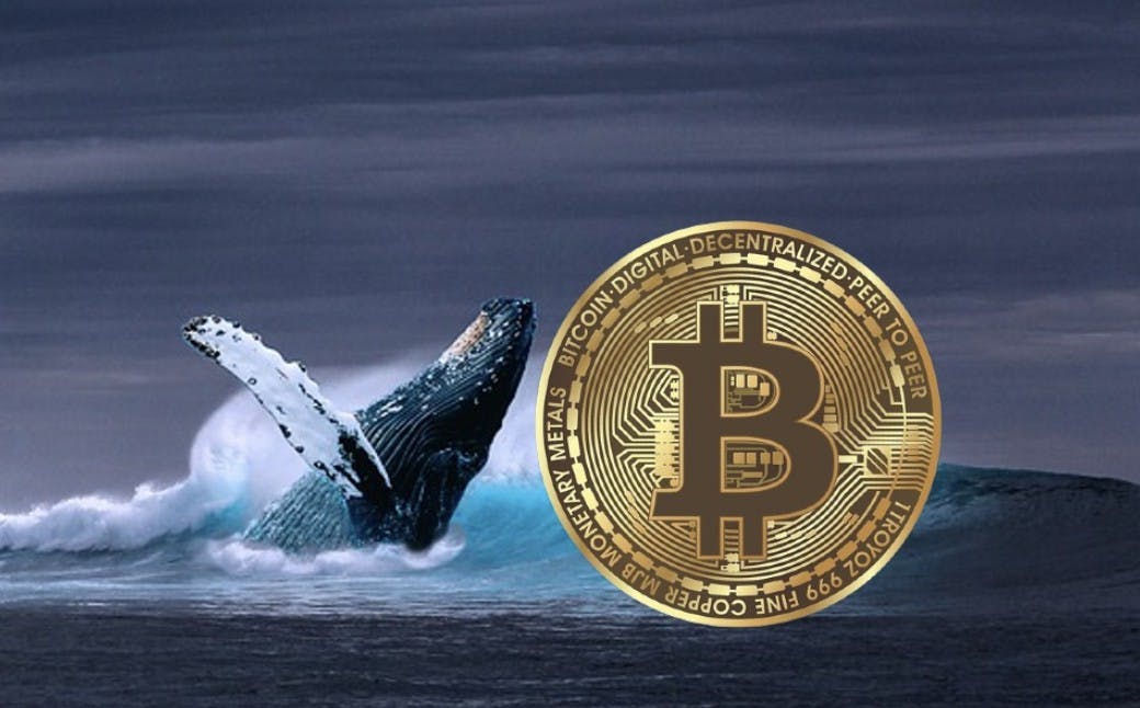 Gambar Bitcoin Melonjak Tinggi, Apakah Ini Manuver Para Whale?