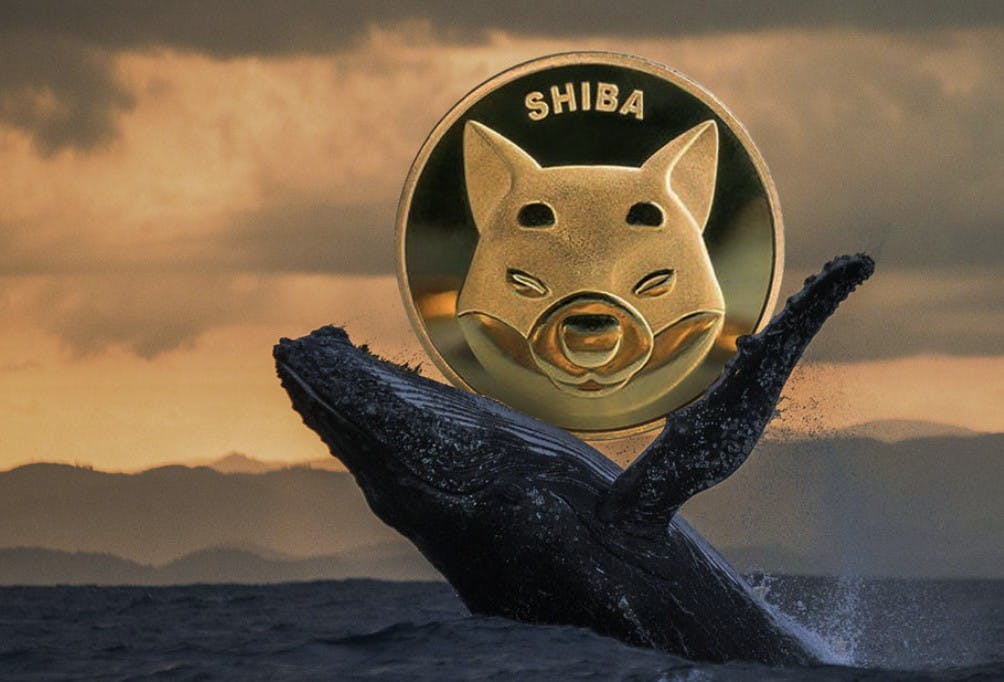 Gambar Whale Shiba Inu Tarik 546 Miliar Koin SHIB, Apakah Gelombang Kenaikan Harga Menanti?