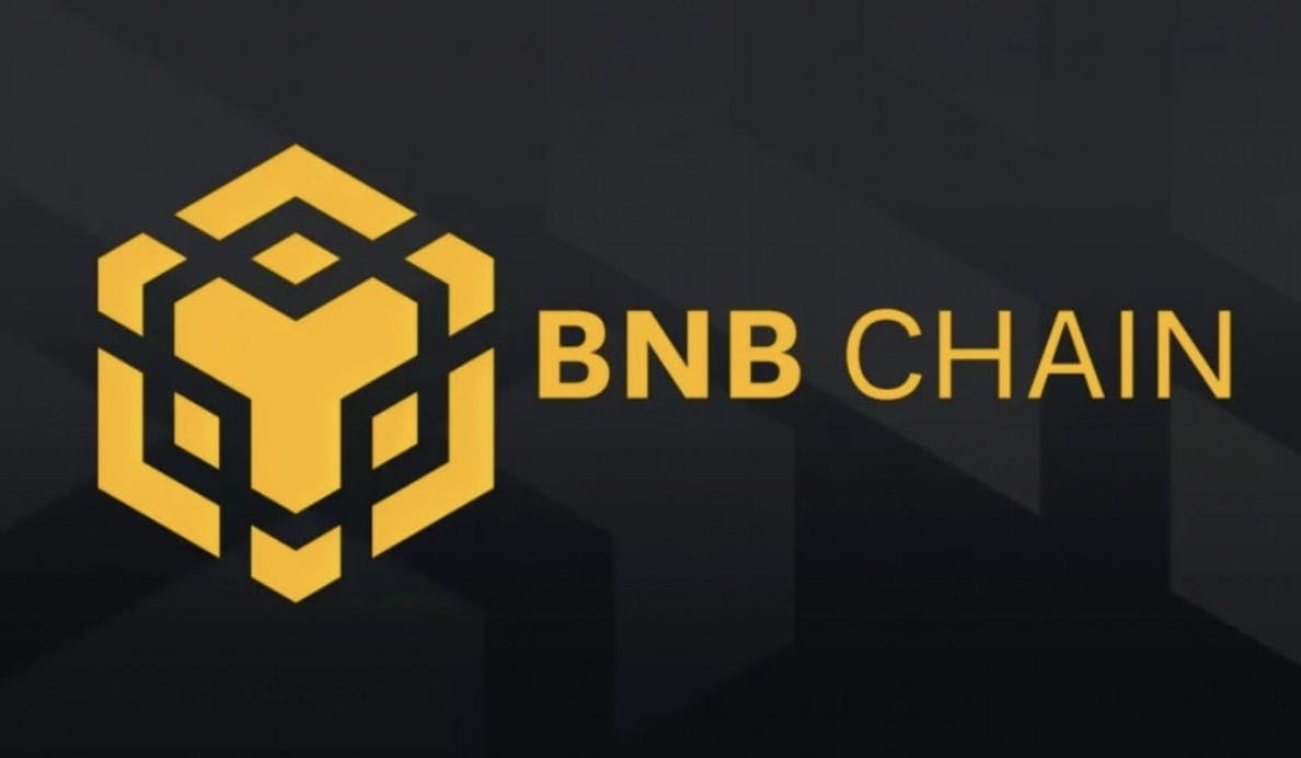 Gambar Kerugian BNB Chain Turun 85% Selama Tahun 2023!
