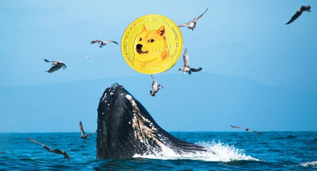 Gambar Dogecoin (DOGE) Bangkit Kembali: Whale Crypto Menggerakkan Volume $1 Miliar