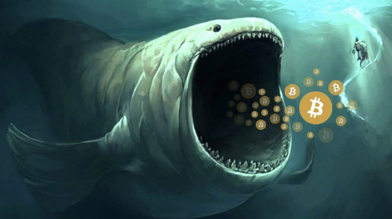 Gambar Alami Volatilitas Harga, Bitcoin Tetap Diincar Para Whale Crypto!