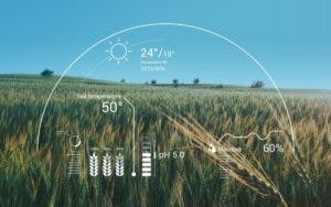 Artificial Intelligence: Masa Depan Pertanian Berkelanjutan