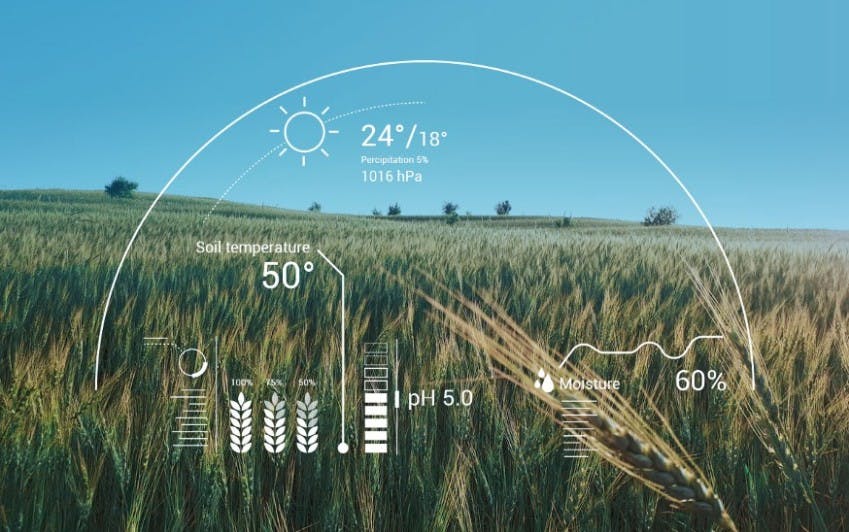 Gambar Artificial Intelligence: Masa Depan Pertanian Berkelanjutan